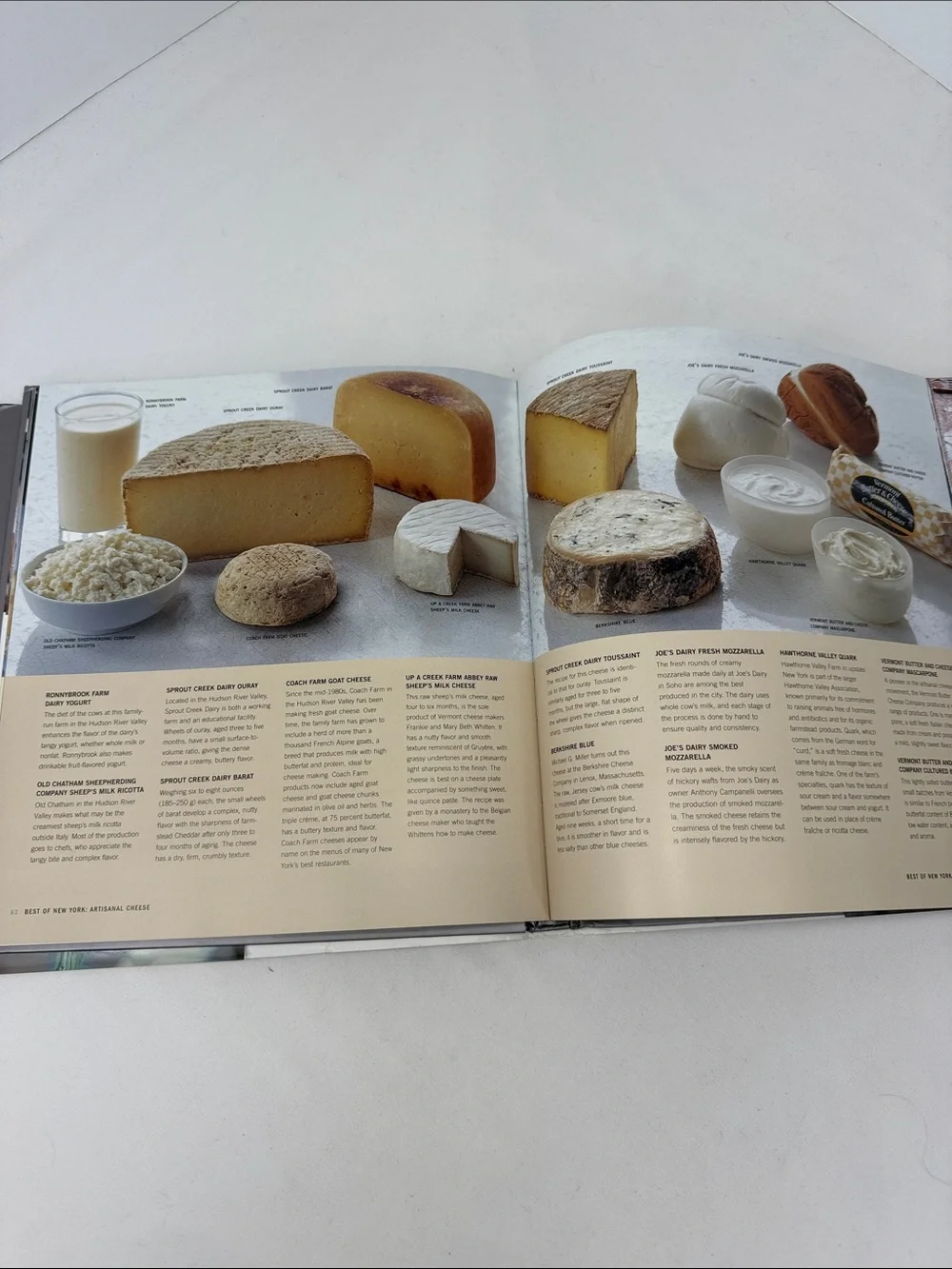 Williams-Sonoma New York Photo Recipe Book Celebrating Foods Of The World